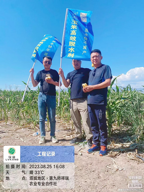 客户案例