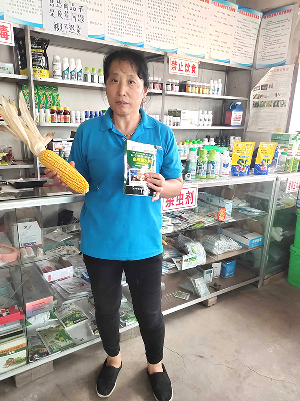 客户案例