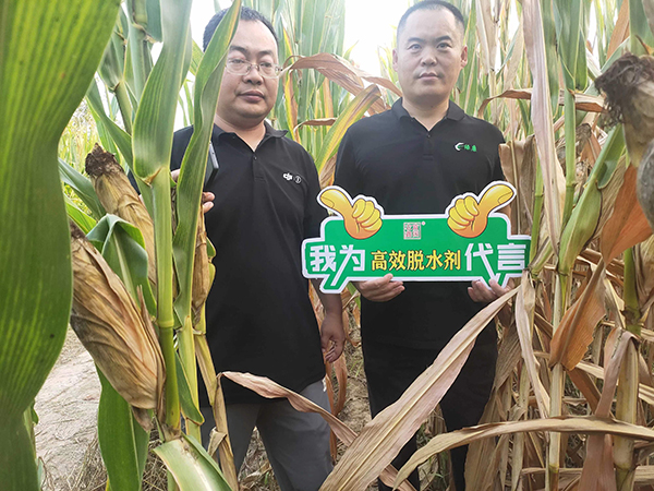 客户案例